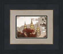 Load image into Gallery viewer, Salt Lake Temple 05