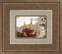 Load image into Gallery viewer, Salt Lake Temple 05