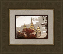 Load image into Gallery viewer, Salt Lake Temple 05