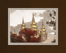 Load image into Gallery viewer, Salt Lake Temple 05