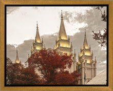 Load image into Gallery viewer, Salt Lake Temple 05
