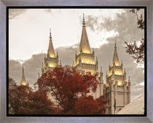 Load image into Gallery viewer, Salt Lake Temple 05