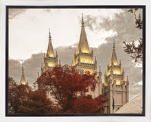 Load image into Gallery viewer, Salt Lake Temple 05