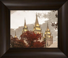 Load image into Gallery viewer, Salt Lake Temple 05
