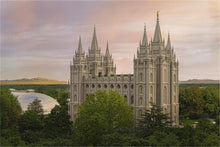 Load image into Gallery viewer, Salt Lake Temple Eternity