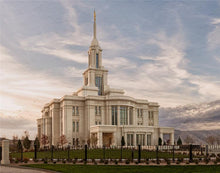 Load image into Gallery viewer, Payson Genesis