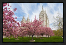 Load image into Gallery viewer, Salt Lake Spring Blossoms