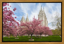 Load image into Gallery viewer, Salt Lake Spring Blossoms