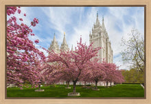 Load image into Gallery viewer, Salt Lake Spring Blossoms