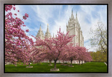 Load image into Gallery viewer, Salt Lake Spring Blossoms