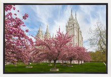 Load image into Gallery viewer, Salt Lake Spring Blossoms