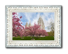 Load image into Gallery viewer, Salt Lake Spring Blossoms
