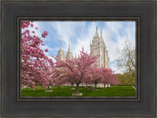Load image into Gallery viewer, Salt Lake Spring Blossoms