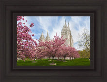 Load image into Gallery viewer, Salt Lake Spring Blossoms