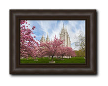 Load image into Gallery viewer, Salt Lake Spring Blossoms