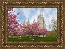 Load image into Gallery viewer, Salt Lake Spring Blossoms