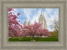 Load image into Gallery viewer, Salt Lake Spring Blossoms