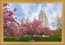 Load image into Gallery viewer, Salt Lake Spring Blossoms