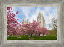 Load image into Gallery viewer, Salt Lake Spring Blossoms