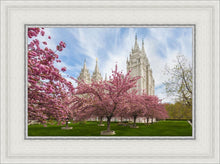 Load image into Gallery viewer, Salt Lake Spring Blossoms