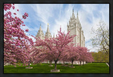 Load image into Gallery viewer, Salt Lake Spring Blossoms