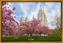 Load image into Gallery viewer, Salt Lake Spring Blossoms
