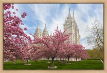 Load image into Gallery viewer, Salt Lake Spring Blossoms