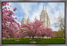 Load image into Gallery viewer, Salt Lake Spring Blossoms