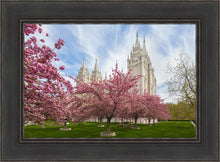 Load image into Gallery viewer, Salt Lake Spring Blossoms