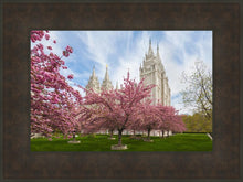 Load image into Gallery viewer, Salt Lake Spring Blossoms