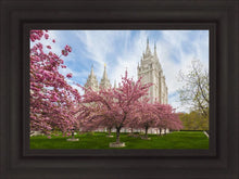 Load image into Gallery viewer, Salt Lake Spring Blossoms