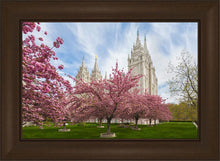 Load image into Gallery viewer, Salt Lake Spring Blossoms