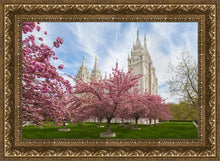Load image into Gallery viewer, Salt Lake Spring Blossoms