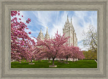 Load image into Gallery viewer, Salt Lake Spring Blossoms