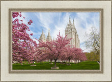 Load image into Gallery viewer, Salt Lake Spring Blossoms