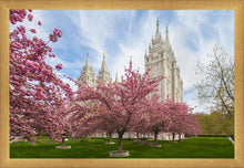 Load image into Gallery viewer, Salt Lake Spring Blossoms