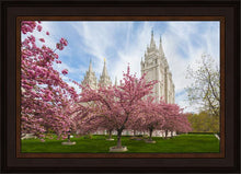 Load image into Gallery viewer, Salt Lake Spring Blossoms