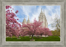 Load image into Gallery viewer, Salt Lake Spring Blossoms