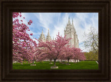Load image into Gallery viewer, Salt Lake Spring Blossoms