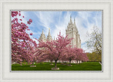 Load image into Gallery viewer, Salt Lake Spring Blossoms