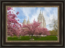 Load image into Gallery viewer, Salt Lake Spring Blossoms