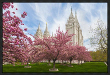 Load image into Gallery viewer, Salt Lake Spring Blossoms
