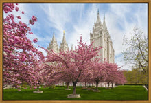 Load image into Gallery viewer, Salt Lake Spring Blossoms