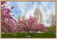Load image into Gallery viewer, Salt Lake Spring Blossoms