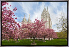 Load image into Gallery viewer, Salt Lake Spring Blossoms