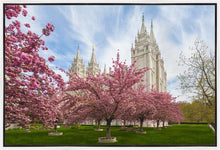 Load image into Gallery viewer, Salt Lake Spring Blossoms