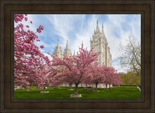 Load image into Gallery viewer, Salt Lake Spring Blossoms