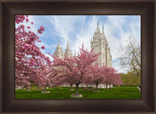 Load image into Gallery viewer, Salt Lake Spring Blossoms