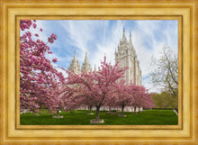 Load image into Gallery viewer, Salt Lake Spring Blossoms