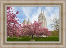 Load image into Gallery viewer, Salt Lake Spring Blossoms